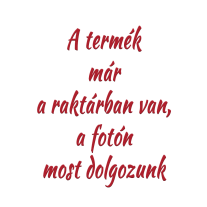 Nagyméretű combfix